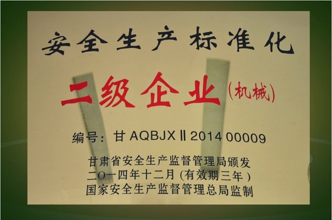 安全生產(chǎn)標準化二級企業(yè).jpg